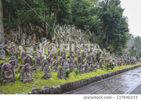 Nov 25 2025 Sacred Thousand Stone Buddhas Cluster at Kiyomizu dera Kyoto Nov 25 2025 Sacred Thousand Stone Buddhas Cluster at Kiyomizu dera Kyoto 137646333