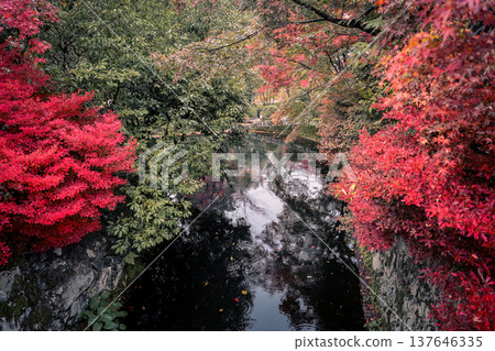 Nov 25 2025 Tranquil Benzaiten Garden Pond at Kiyomizu dera Kyoto 137646335
