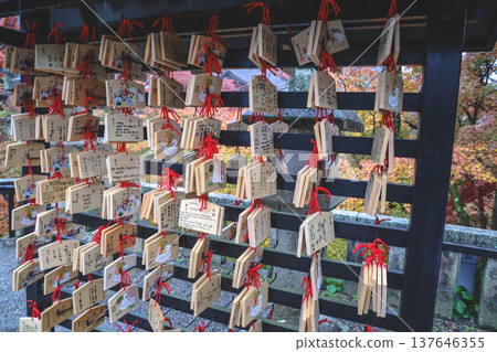 Nov 25 2025 Wooden Ema Prayer Plaques at Kiyomizu-dera Temple Nov 25 2025 Wooden Ema Prayer Plaques at Kiyomizu-dera Temple 137646355