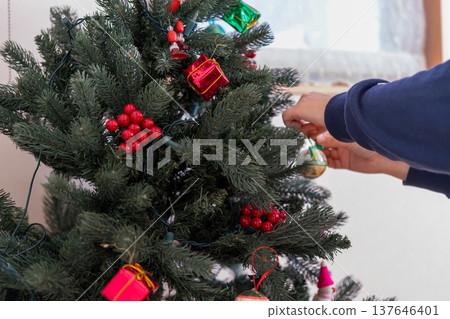 Christmas tree decoration Christmas tree decoration 137646401