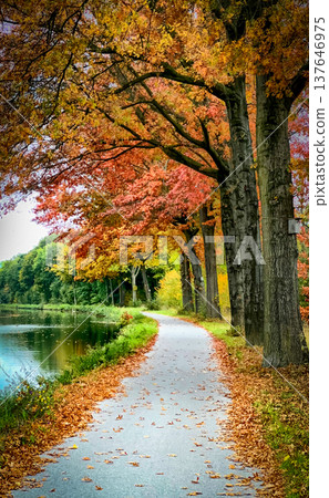 Serene lakeside trail shaded by fall foliage and gentle ripples Serene lakeside trail shaded by fall foliage and gentle ripples 137646975