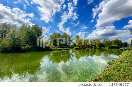 Rijkevorsel, Antwerpse Kempen, Belgium, Peaceful lake mirroring vivid blue sky and fluffy clouds Rijkevorsel, Antwerpse Kempen, Belgium, Peaceful lake mirroring vivid blue sky and fluffy clouds 137646977