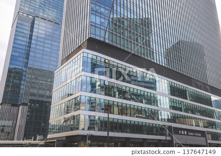 Nov 25 2025 Golden Ginkgo Trees Beside Modern Ofukacho Office Towers 137647149