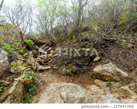 崎mountain的山路 崎mountain的山路 137647205