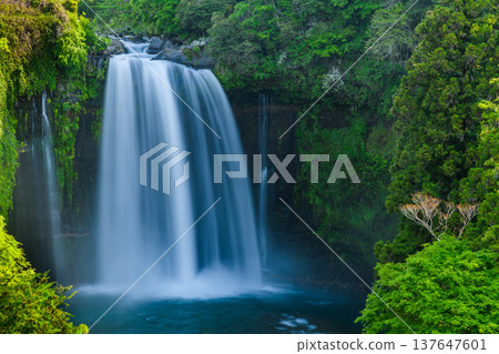A dynamic shot of the waterfall basin at Otodome Falls in Shizuoka Prefecture, a component of the World Heritage Site Mount Fuji, using a slow shutter speed. 137647601