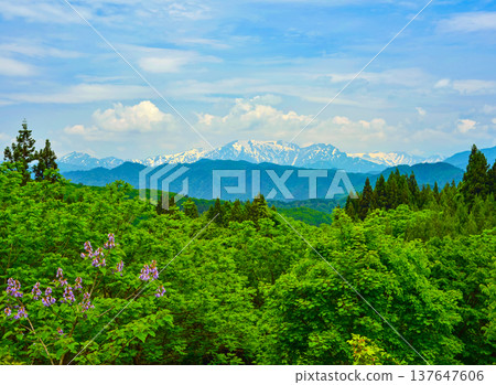 The Iide Mountain Range, the Alps of Tohoku, offers a beautiful landscape of remaining snow and ridgelines shining against the early summer blue sky. The Iide Mountain Range, the Alps of Tohoku, offers a beautiful landscape of remaining snow and ridgelines shining against the early summer blue sky. 137647606