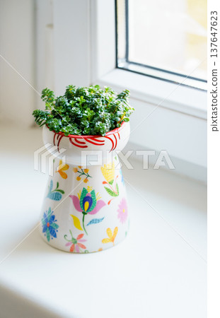 Close up of Crassula ovata succulent growing in decorative ceramic pot near window. Natural light, home decoration, indoor plants, calm interior mood 137647623