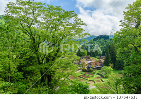 The Gokayama Gassho-zukuri village, a World Heritage Site, is a quintessential Japanese landscape enveloped in the deep green of early summer. The Gokayama Gassho-zukuri village, a World Heritage Site, is a quintessential Japanese landscape enveloped in the deep green of early summer. 137647633