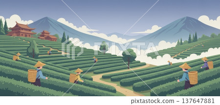 Traditional Tea Plantation on Misty Hills with Workers Harvesting Fresh Tea Leaves Traditional Tea Plantation on Misty Hills with Workers Harvesting Fresh Tea Leaves 137647881