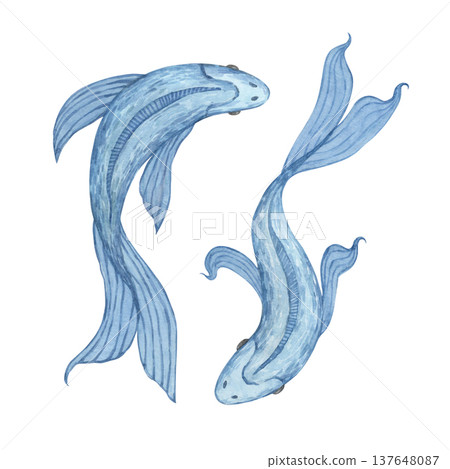 A set of watercolor illustrations featuring beautiful blue fish A set of watercolor illustrations featuring beautiful blue fish 137648087