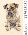 Illustration of a dog 137648089