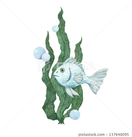 A cute blue-scaled fish swims among algae in the deep sea A cute blue-scaled fish swims among algae in the deep sea 137648095