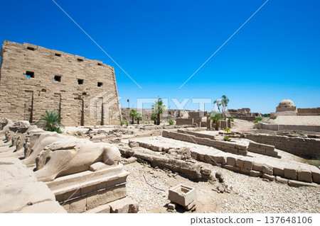 Africa, Egypt, Luxor, Karnak temple Africa, Egypt, Luxor, Karnak temple 137648106