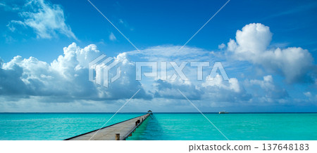 tropical Maldives island with white sandy beach and sea tropical Maldives island with white sandy beach and sea 137648183