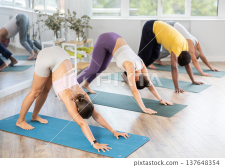Group of men and women doing yoga in studio Group of men and women doing yoga in studio 137648354
