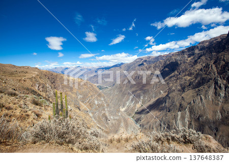 Colca canyon in peru. Colca Canyon 137648387