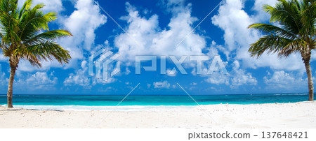 Sea beach. Tropical sea under the blue sky. Sea beach. Tropical sea under the blue sky. 137648421
