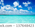 Sea landscape. Caribbean clear beach and tropical sea 137648423
