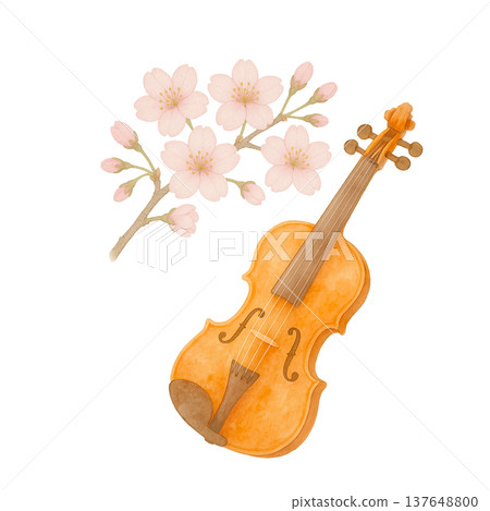 櫻花和小提琴的水彩插畫。春季音樂主題。 137648800