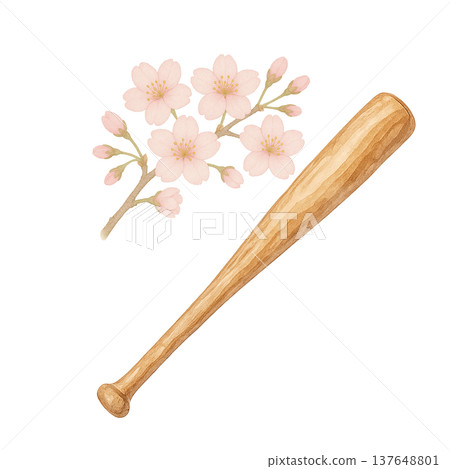 櫻花和木棒的水彩插圖（棒球運動材料） 137648801