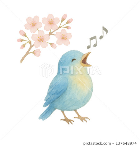 櫻花與鳥鳴的水彩插畫 - 春日自然 137648974