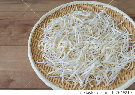 Mung bean sprouts 137649210