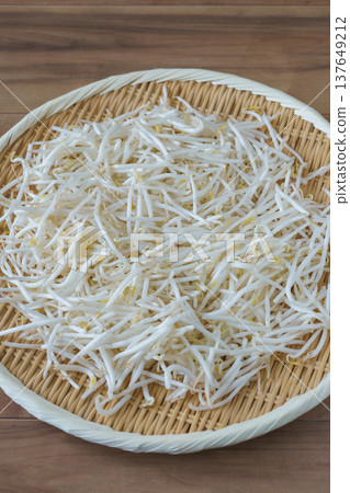 綠豆芽 137649212
