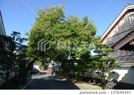 Tokuyuji Temple grounds, Nara-machi, Narukawa-cho, Nara City 137649345
