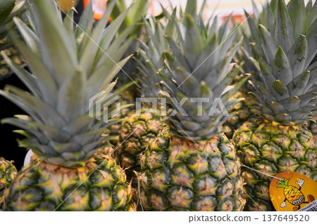 Pile of Fresh Pineapple Fruit For Sale at Market Pile of Fresh Pineapple Fruit For Sale at Market 137649520