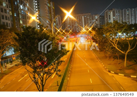 Night View of Singapore Street Trees and Buildings 137649549