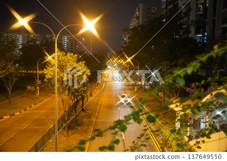 Night Road with Starburst Lights and Bougainvillea Blooms Night Road with Starburst Lights and Bougainvillea Blooms 137649550