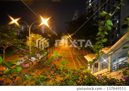 Night View of Singapore Road with Bougainvillea Night View of Singapore Road with Bougainvillea 137649551