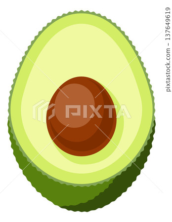 Avocado Half With Seed Healthy Food Illustration 137649619