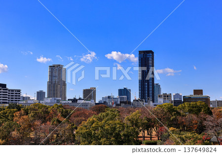 Cityscape skyline on CBD, skyscrapers and office building Next to the park. 137649824