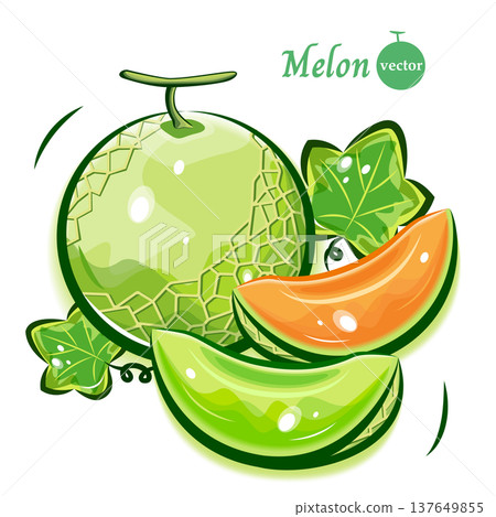 Pop art illustration of a melon | Fresh and cute fruit vector material Pop art illustration of a melon | Fresh and cute fruit vector material 137649855