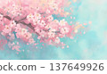 Illustration of cherry blossoms and petals 137649926
