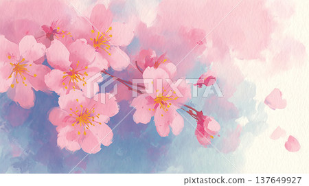 Illustration of cherry blossoms and petals 137649927