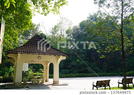 Scenic Park View with Gazebo and Lush Greenery Scenic Park View with Gazebo and Lush Greenery 137649975