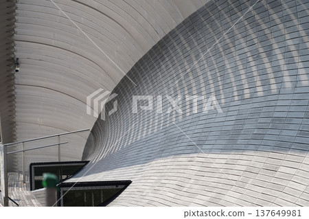 Architectural Design with Wooden Tiles and Metal Structure 137649981