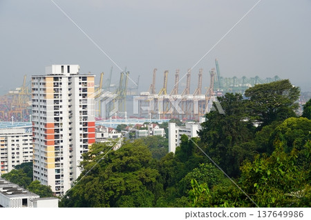 Singapore Cityscape with Cranes and Lush Green Trees Singapore Cityscape with Cranes and Lush Green Trees 137649986