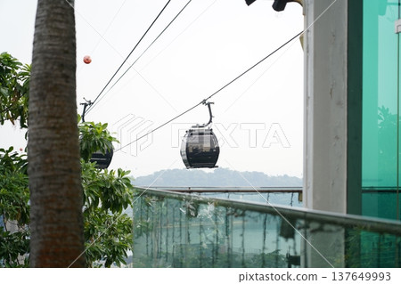 Cable Cars Above Water Seen Through Lush Green Trees 137649993