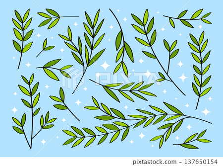 Cute set of hand drawn branches and leaves of bushes and trees. Aesthetic collection of plant icons. Ideal for decorating and framing flyers, greeting cards, stickers, posters, invitations, packaging. Cute set of hand drawn branches and leaves of bushes and trees. Aesthetic collection of plant icons. Ideal for decorating and framing flyers, greeting cards, stickers, posters, invitations, packaging. 137650154