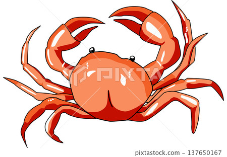 Illustration of a red Crab in a cartoon style isolated Illustration of a red Crab in a cartoon style isolated 137650167