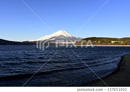 Scenery along the shore of Lake Yamanaka in March (Location: Lake Yamanaka shore) Scenery along the shore of Lake Yamanaka in March (Location: Lake Yamanaka shore) 137651032