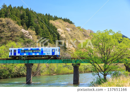 一列由里高原鐵道的柴油動車組列車駛過小吉川,沐浴在和煦的春日陽光中。 一列由里高原鐵道的柴油動車組列車駛過小吉川,沐浴在和煦的春日陽光中。 137651166