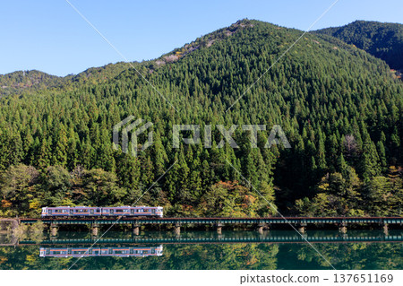 The Takayama Main Line, reflected in the waters of Shimohara Dam, amidst the deep green foliage that makes us eagerly await the autumn colors (Part 2) 137651169