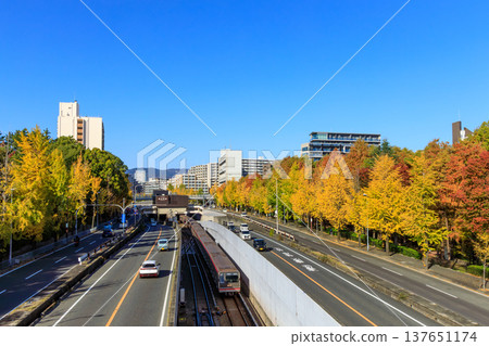 The area along the Shin-Midosuji Line, Osaka's main artery, is adorned with vibrant autumn foliage. 137651174