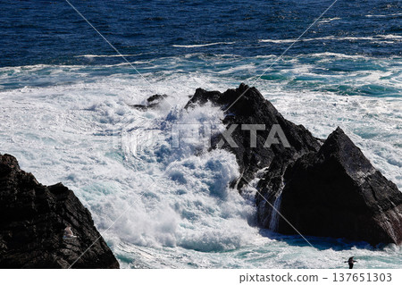 海浪拍打著波濤洶湧的大海 海浪拍打著波濤洶湧的大海 137651303