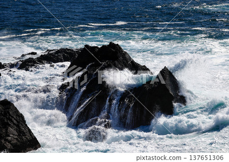 海浪拍打著波濤洶湧的大海 137651306