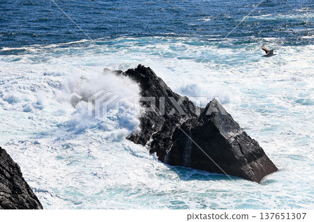 海浪拍打著波濤洶湧的大海 137651307